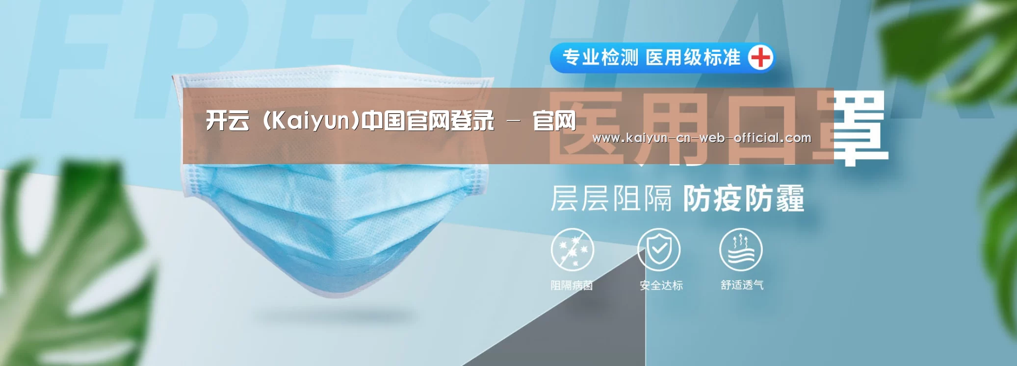 某某口罩防护用品有限公司