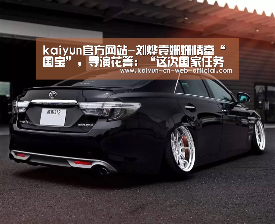 kaiyun官方网站-刘烨袁姗姗情牵“国宝”,导演花箐:“这次国家任务让他们成长”(图1) 开云官方网站