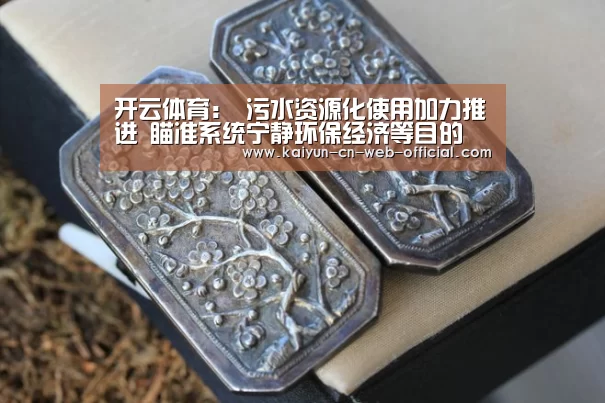 开云体育：
污水资源化使用加力推进 瞄准系统宁静环保经济等目的