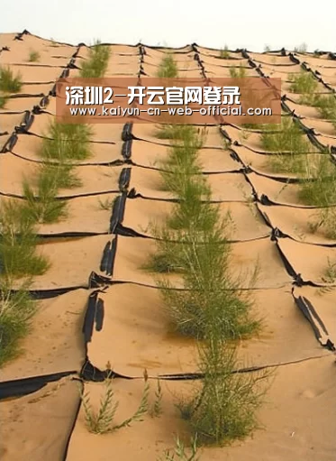 深圳2-开云官网登录(图4) 开云官网登录