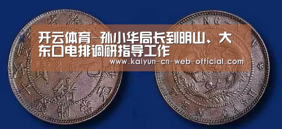 开云体育-孙小华局长到明山、大东口电排调研指导工作(图1) 开云官方网站